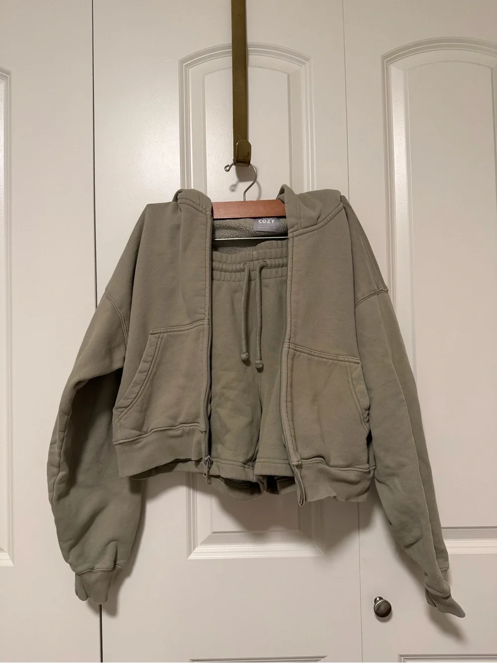 Aritzia Cropped Hoodie in Sage Green